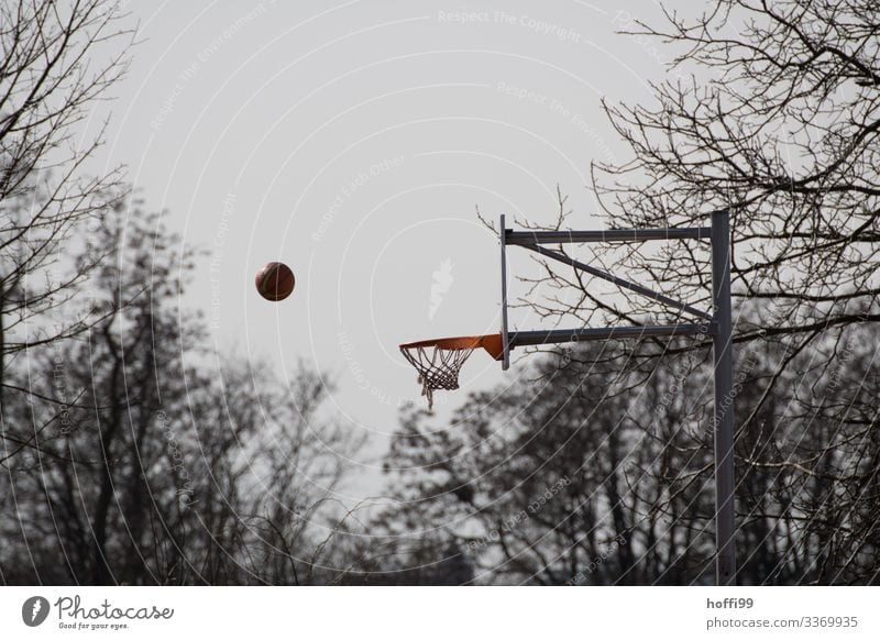 Ball & Korb Ballsport Basketball Sportstätten Natur Himmel Herbst Winter schlechtes Wetter Nebel Regen Baum Park Basketballkorb berühren Bewegung werfen