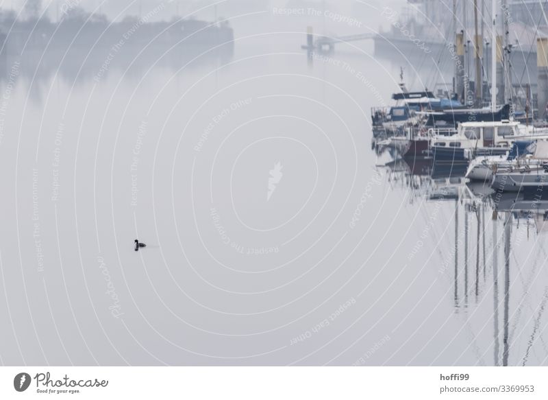 alles ist ruhig Segeln Natur Wasser Herbst Winter schlechtes Wetter Nebel Küste Flussufer Bucht Hafen Hafeneinfahrt Steg Anlegestelle Schifffahrt Sportboot