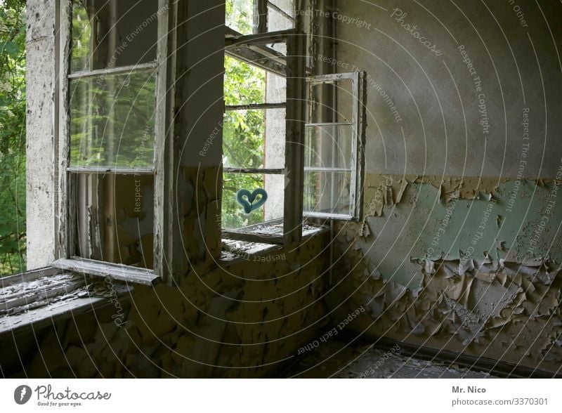 lüften mit Herz Haus Ruine Altbau Fenster geöffnet Ausblick frische Luft Tapete Zimmer Wohnung Holzfenster Garten gelb kaputt Lost Places vergänglichkeit offen