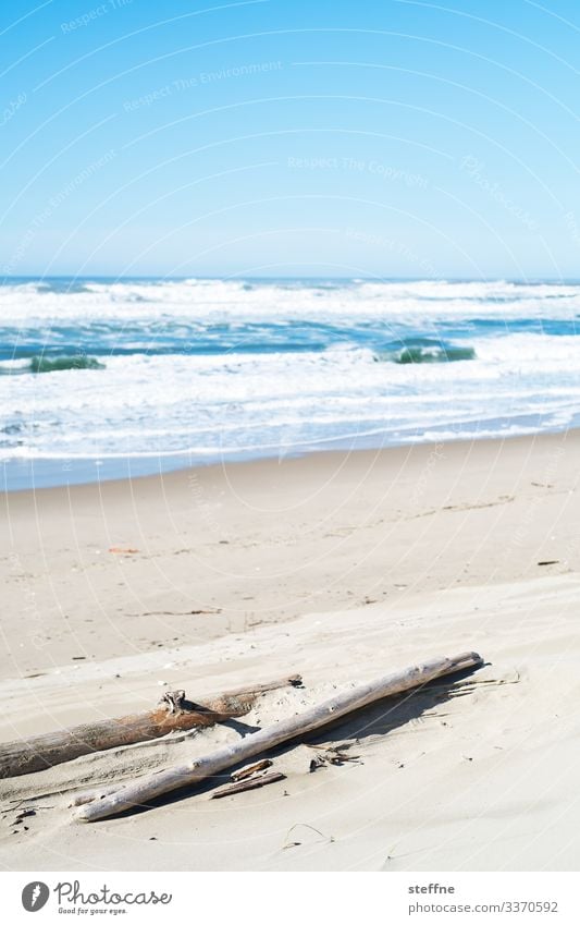 Meeresstrand mit Baumstamm im Vordergrund Natur Landschaft Schönes Wetter wild Sand Ferien & Urlaub & Reisen rau Oregon Farbfoto Gedeckte Farben Außenaufnahme