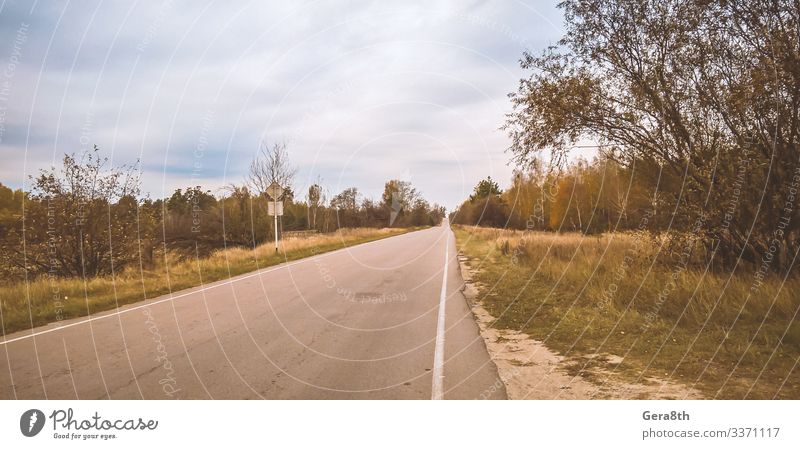 Leere Straße nach Tschernobyl in der Ukraine Natur Landschaft Pflanze Himmel Wolken Horizont Herbst Baum Gras Wald natürlich gefährlich Desaster Farbe