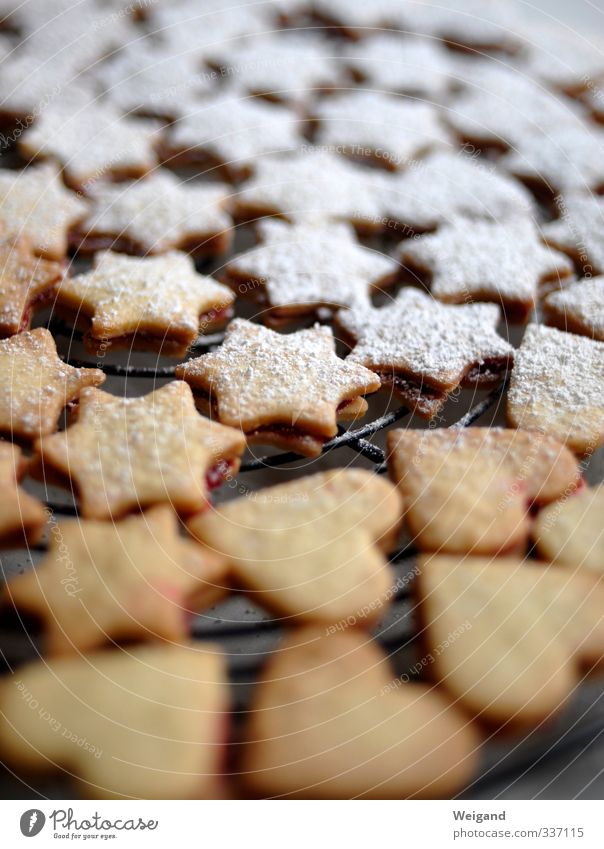 5-Sterne-Rezension Lebensmittel Dessert Süßwaren Plätzchen Ernährung Weihnachtsgebäck lecker süß mehrfarbig weiß fleißig Weihnachten & Advent Adventskalender