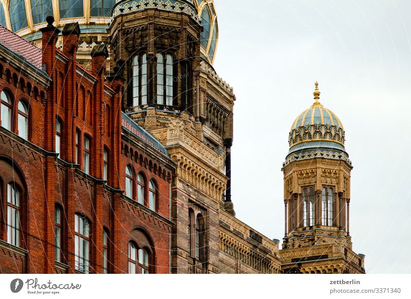 Synagoge Oranienburger Straße Architektur Berlin Großstadt Deutschland Froschperspektive Hauptstadt Haus Himmel Himmel (Jenseits) Stadtzentrum Berlin-Mitte