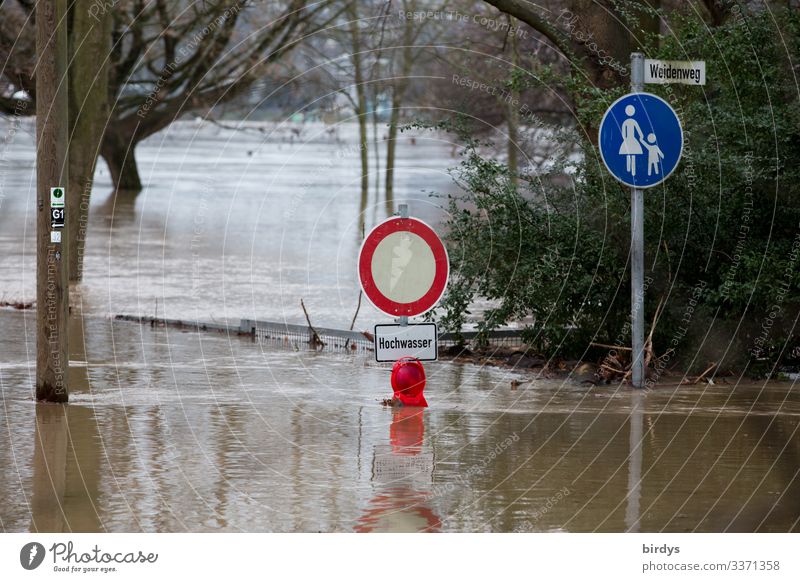 Land unter Wasser Herbst Winter Klimawandel schlechtes Wetter Regen Baum Park Wege & Pfade Verkehrszeichen Verkehrsschild Fußweg Zeichen Schriftzeichen