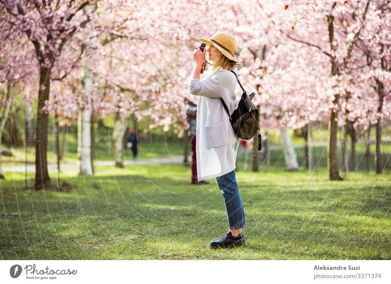 Porträt einer schönen Frau mit Strohhut, die in einem schönen Park mit blühenden Kirschbäumen reist und Fotos mit einer Retro-Kamera macht. Tourist mit Rucksack.