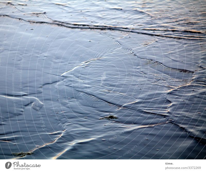 Lebenslinien #125 Umwelt Natur Sand Wasser Schönes Wetter Wellen Küste Strand Ostsee Linie maritim nass geduldig Ausdauer Neugier Inspiration Konzentration