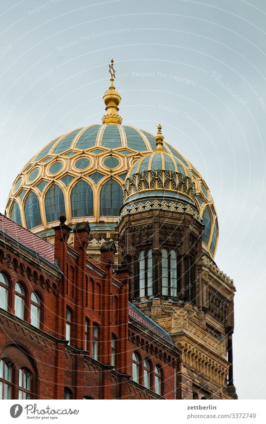 Neue Synagoge Architektur Berlin Großstadt Deutschland Froschperspektive Hauptstadt Haus Himmel Himmel (Jenseits) Stadtzentrum Berlin-Mitte Skyline Tourismus