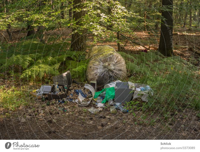 Wilde Mülldeponie im Wald Fernseher Computer Umwelt Natur kaputt braun grau grün schwarz Umweltverschmutzung wilde Mülldeponie Müllhalde Baum Baumstamm