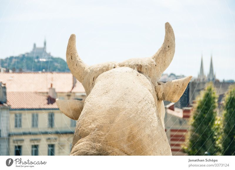 Stier Skulpur aus Stein vor der Stadt Marseille Tierporträt Porträt Kontrast Schatten Licht Tag Hintergrund neutral Farbfoto antik Kulturdenkmal massiv erhaben