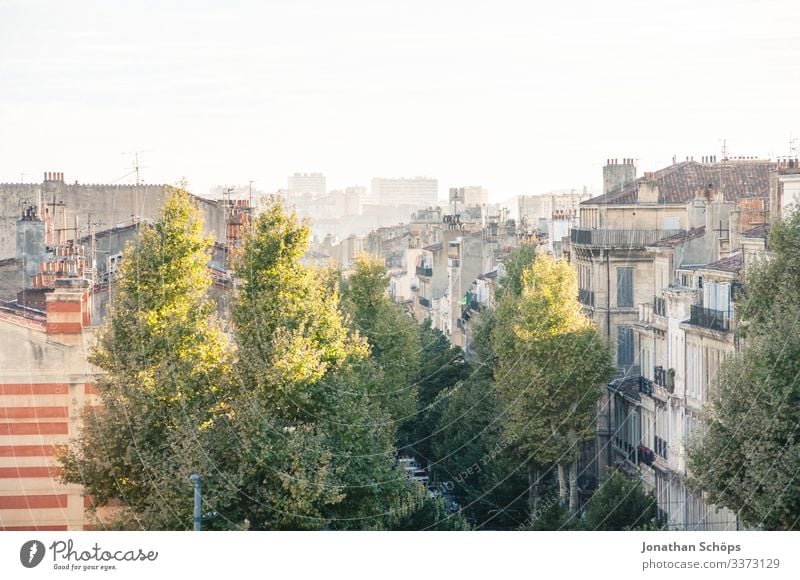 Ausblick über die Dächer von Marseille Sonnenlicht Licht Textfreiraum oben Panorama (Aussicht) Farbfoto Menschenleer Tag Dach Stadtleben Baum Reisefotografie