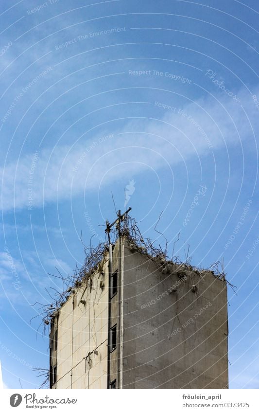 Luft nach oben | Abrisshaus bei schönem Wetter Bau Gebäude Hochformat abstrakt Architektur Haus Fassade Menschenleer Bauwerk Stadt Baustelle Vergänglichkeit