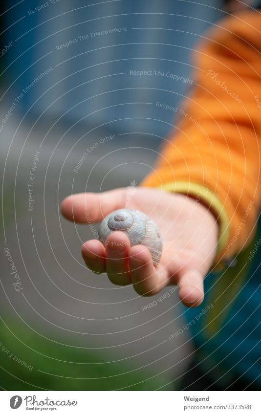 Schneckenhaus harmonisch Muttertag Kindergarten Mensch Kleinkind 1 Glück orange Leidenschaft Akzeptanz Vertrauen Traurigkeit Sorge Trauer Tod Farbfoto