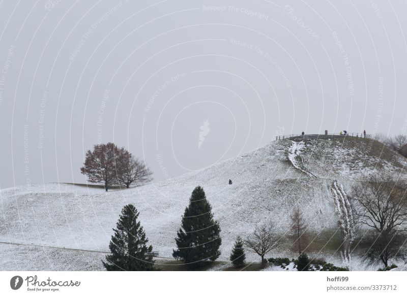 winterlich hügelige Parklandschaft mit Bäumen in exponierter Lage Panorama (Aussicht) Zentralperspektive Starke Tiefenschärfe Kontrast Schatten Licht Tag