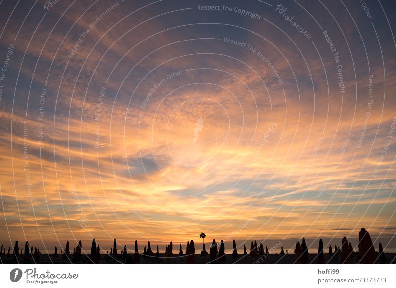 Silhouette von Sonnenschirmen bei Sonnenuntergang am Strand von Deauville Natur Himmel Wolken Sonnenaufgang Sonnenlicht Küste Strandleben Strandanlage Liege