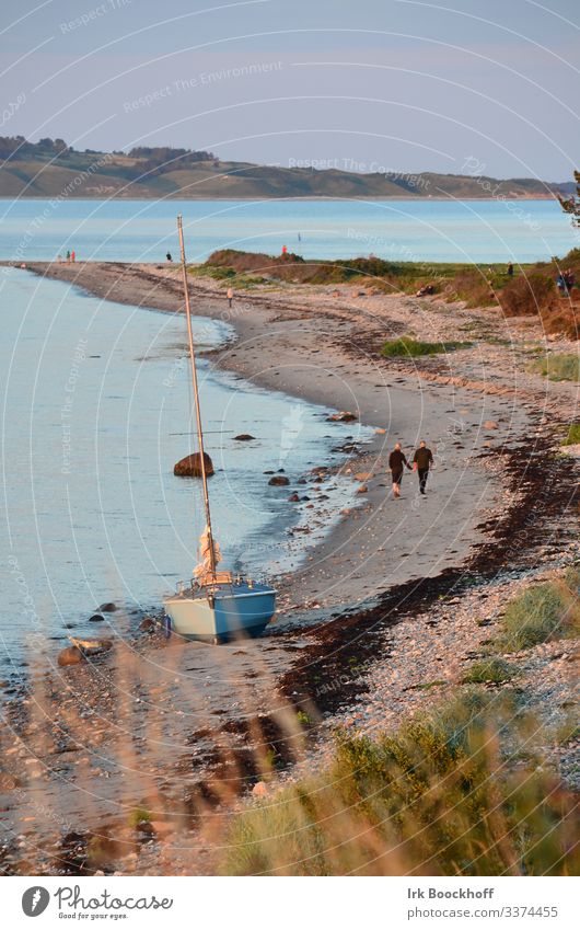 gestrandetes Segelboot mit 2 Strandläufern auf einer Ostseeinsel maritim Außenaufnahme Wasserfahrzeug Meer Himmel Ferien & Urlaub & Reisen nautisch Küste Seenot