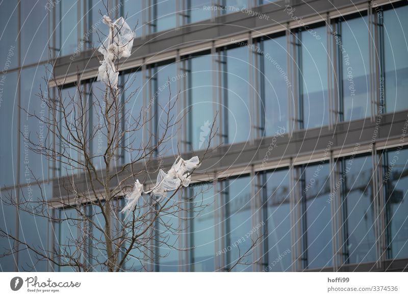 Plastikmüll in Ästen eines kahlen Baums vor Glasfesterfassade Umwelt schlechtes Wetter Hochhaus Bankgebäude Treppe Fenster Plastiktüte Müll Kunststoff