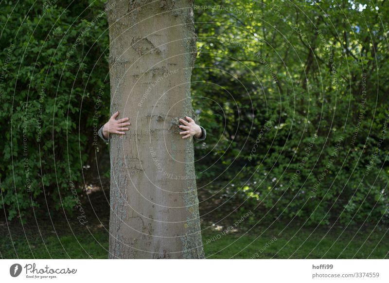 Mensch umarmt Baum umarmung mensch und natur Naturliebe Baumstamm Baum herzen Baum umarmen grüne Büsche Baumstamm im Vordergrund Schwache Tiefenschärfe Park