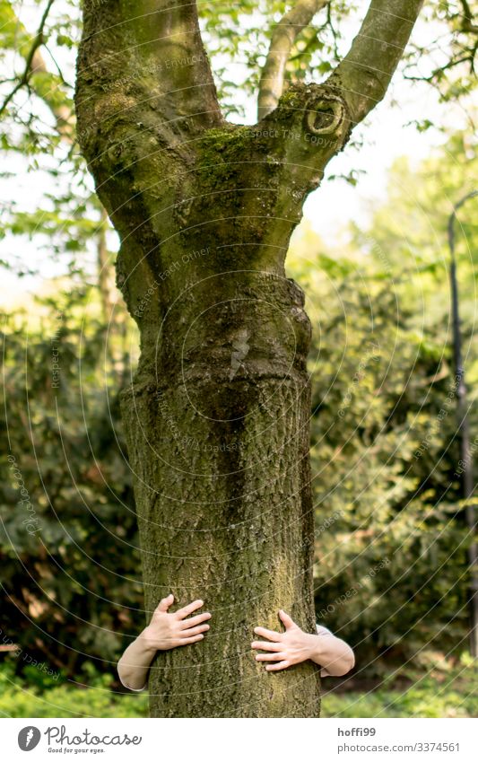 Mensch umarmt Baum umarmung mensch und natur Naturliebe Baumstamm Baum herzen Baum umarmen grüne Büsche Baumstamm im Vordergrund Schwache Tiefenschärfe Park