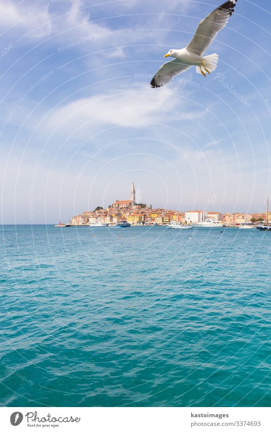 Panoramablick auf die Altstadt von Rovinj, Kroatien. Ferien & Urlaub & Reisen Tourismus Sommer Meer Himmel Wolken Küste Stadt Kirche Hafen Architektur Segelboot