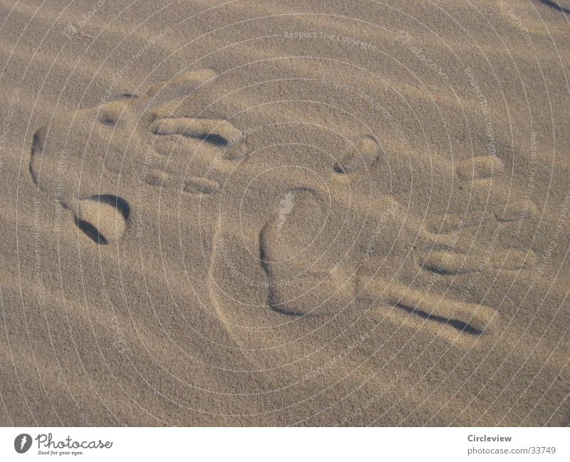 Walk of Fame am Ostseestrand Strand Hand Eindruck Männerhand Europa Stranddüne Wind Sand Nahaufnahme Detailaufnahme Wüste Abdruck