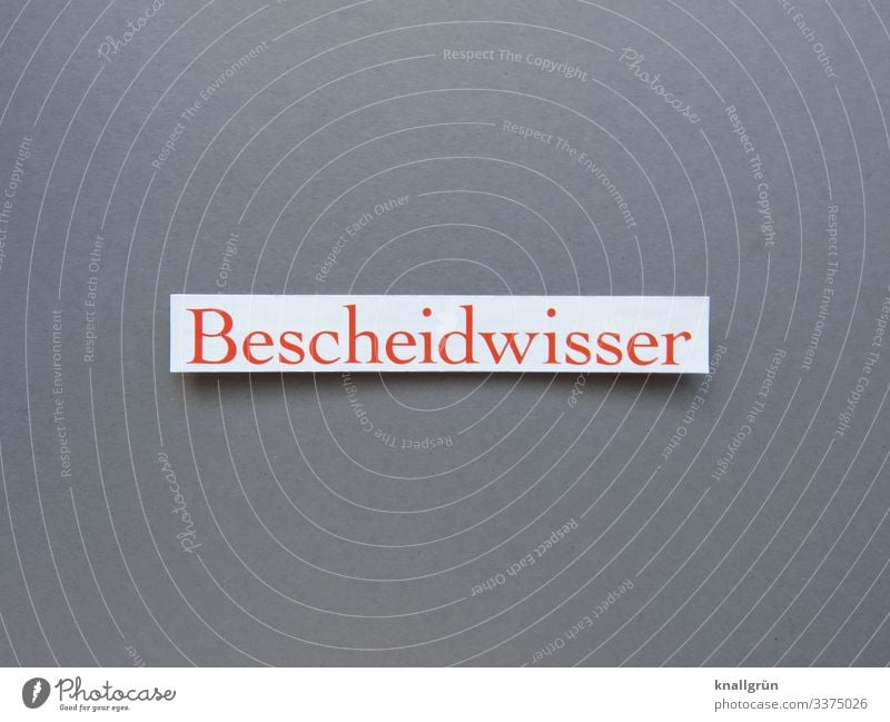 Bescheidwisser Kommunikation Wissen schlau Sprache kommunizieren Besserwisser Schriftzeichen Buchstaben Typographie Farbfoto Studioaufnahme Menschenleer