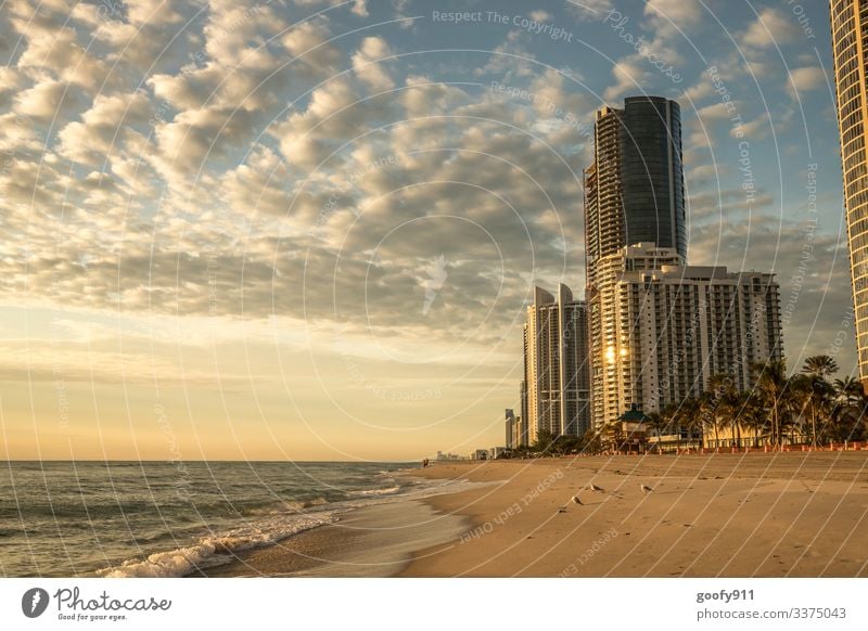 Sunny Isles Beach Florida Weitwinkel Panorama (Aussicht) Außenaufnahme mehrfarbig Farbfoto Fernweh Architektur Bauwerk Stadt Ferne Freiheit