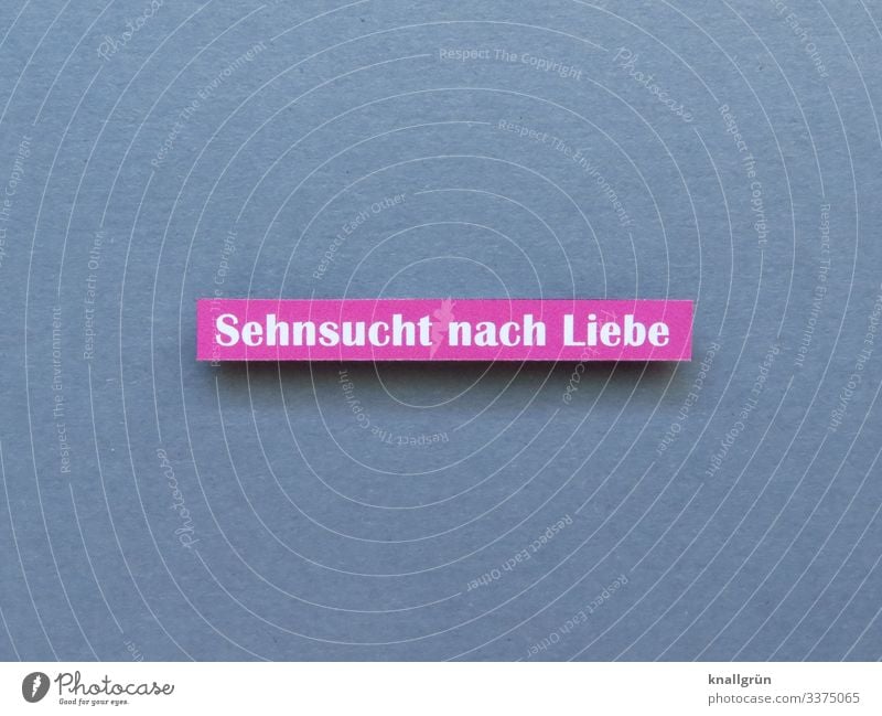 Sehnsucht nach Liebe Schriftzeichen Gefühle Textfreiraum unten Menschenleer Textfreiraum links Textfreiraum rechts Textfreiraum oben Farbfoto