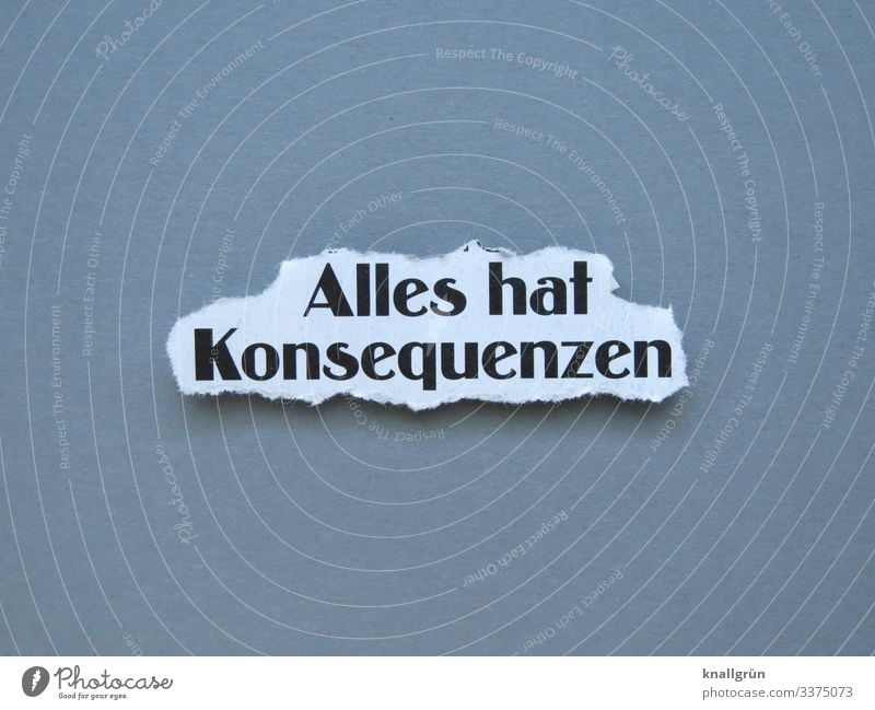 Alles hat Konsequenzen Schriftzeichen Schilder & Markierungen Kommunizieren Gefühle Verantwortung gewissenhaft vernünftig erleben Moral Farbfoto Studioaufnahme