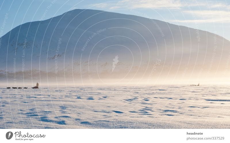 Ice fog Ferien & Urlaub & Reisen Abenteuer Freiheit Expedition Winter Schnee Winterurlaub Berge u. Gebirge Umwelt Natur Landschaft Luft Sonnenlicht Klima Nebel