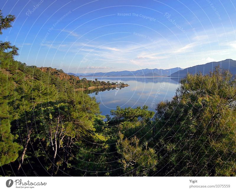 Ein friedlicher Blick vom Seeufer aus Umwelt Natur Landschaft Erde Luft Wasser Himmel Wolken Horizont Sonnenlicht Frühling Sommer Wetter Schönes Wetter Pflanze