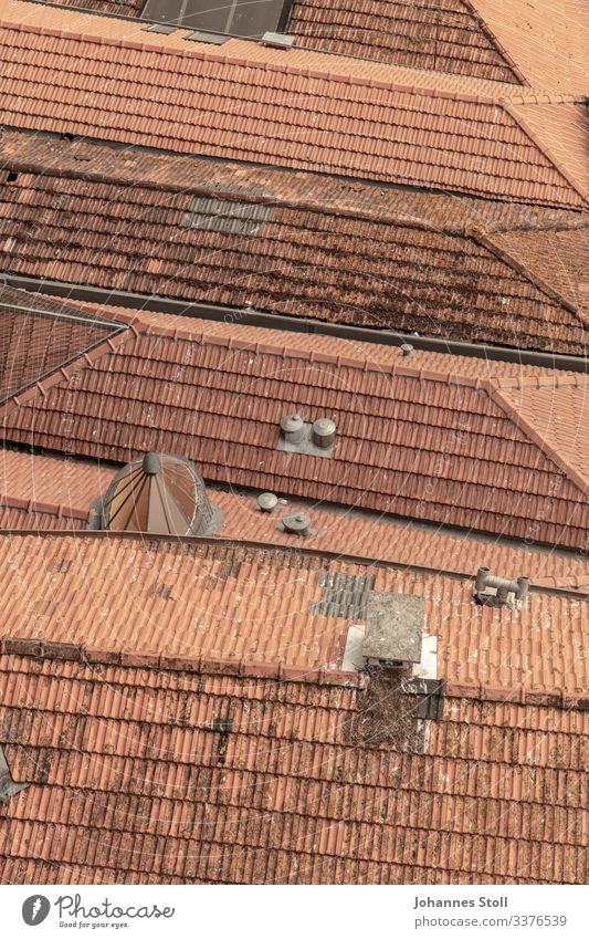 Dachverband Ziegeldach Dächer Häuser Stadt Siedlung Schornstein Vogelperspektive Porto Blick Aussicht Dachdecker Textur Muster Rot Orange Lehm Ton Keramik Moos