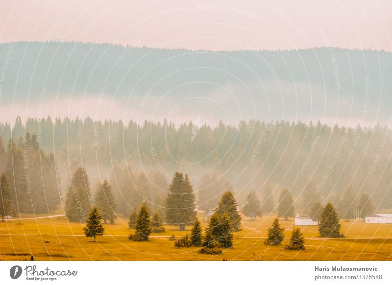 Schöner Morgen in den Bergen, die mit Nebel überzogen sind Umwelt Natur Landschaft Pflanze Urelemente Erde Himmel Wolkenloser Himmel Klima Klimawandel Wetter