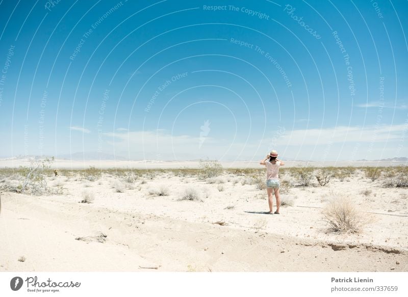 Mojave Desert Umwelt Natur Landschaft Urelemente Himmel Pflanze Abenteuer Farbfoto Außenaufnahme Tag Panorama (Aussicht) Weitwinkel