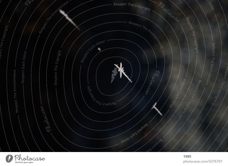 Fliegender Eiskristall Winter Schnee Kristallstrukturen frieren Raureif Nahaufnahme Natur gefroren Frost kalt Außenaufnahme Schneekristall Spinnennetz Farbfoto