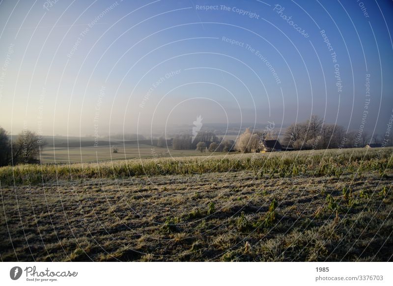 Winterlandschaft Nebel Frost kalt Außenaufnahme Raureif Farbfoto Natur gefroren frieren Menschenleer Winterstimmung Wintertag Umwelt Eis eisig Schönes Wetter