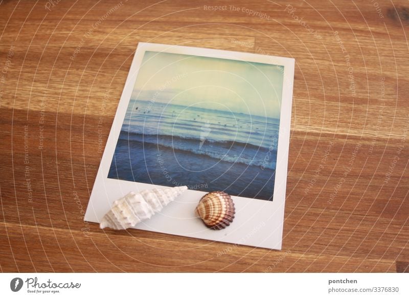 Muscheln liegen auf Polaroid das Meer zeigt. Bild im Bild Ferien & Urlaub & Reisen Tourismus Ferne Sommer Sommerurlaub Himmel Mittelmeer blau braun