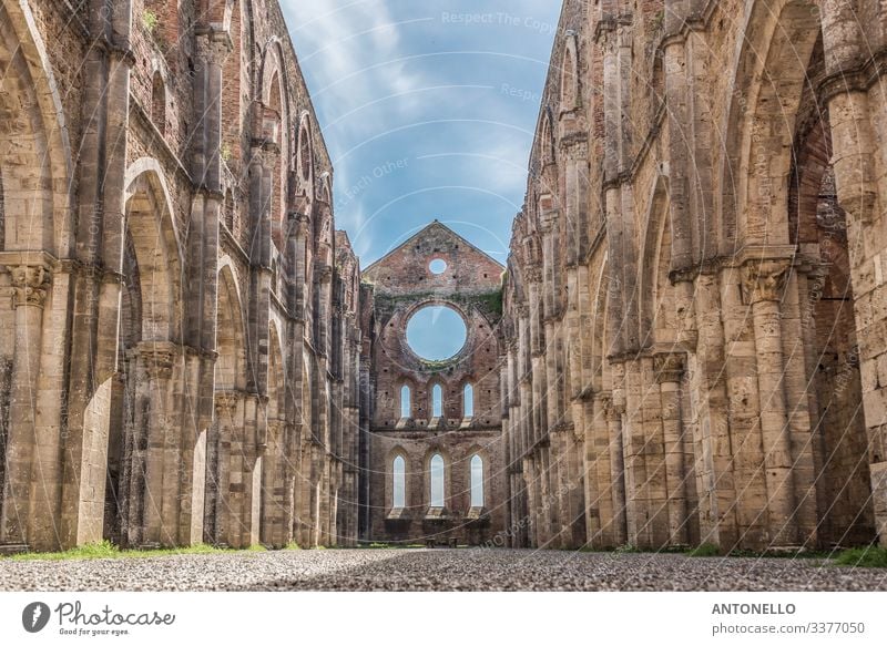 Innenansicht der Abtei von San Galgano Ferien & Urlaub & Reisen Tourismus Kunst Architektur Himmel Wolken Frühling chiusdino Siena Toskana Italien Europa Dorf