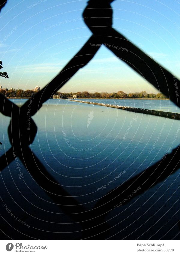 Wasser im See Maschendrahtzaun Zaun Sommerabend Central Park gefangen Gitter Abenddämmerung blau