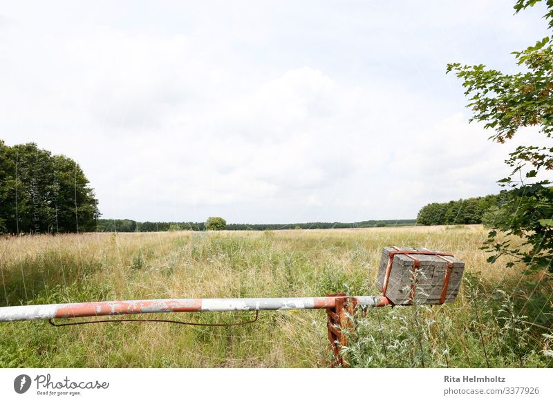 Sommerweide Ferien & Urlaub & Reisen Ferne Freiheit Landwirtschaft Forstwirtschaft Umwelt Natur Himmel Gras Nutzpflanze Wiese Feld Schranke einfach Fröhlichkeit