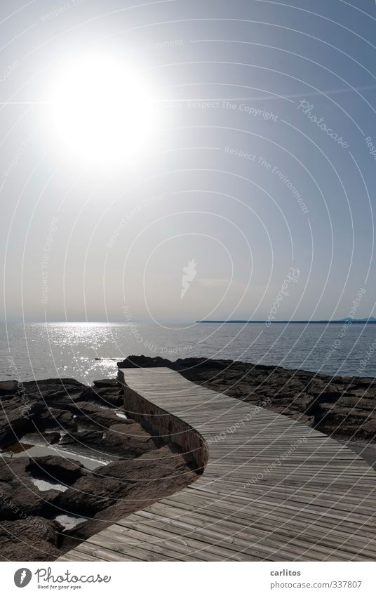 Auf dem Holzweg Umwelt Natur Urelemente Erde Luft Wasser Wolkenloser Himmel Sonne Sommer Schönes Wetter Wärme Felsen Wellen Küste Meer ästhetisch Horizont Ferne