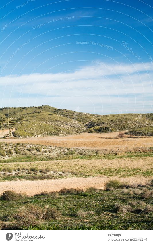 Landschaft Umwelt Natur Pflanze Urelemente Erde Sand Luft Himmel Wolkenloser Himmel Horizont Sonne Frühling Sommer Klima Klimawandel Wetter Nutzpflanze Garten