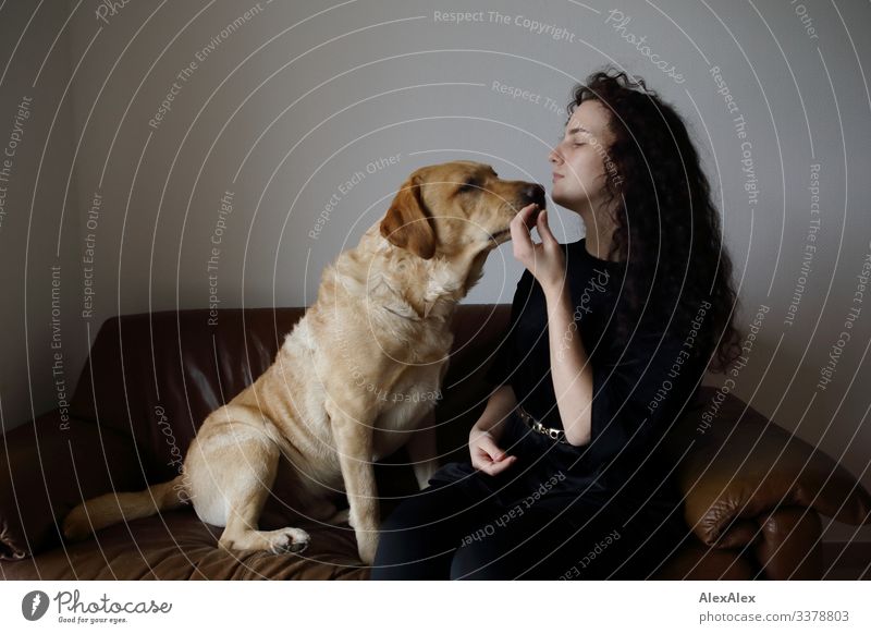 Blonder Labrador und Frau spielen auf der Couch Leckerlie Stil Freude schön Wohnung Sofa Junge Frau Jugendliche 18-30 Jahre Erwachsene Kleid brünett blond