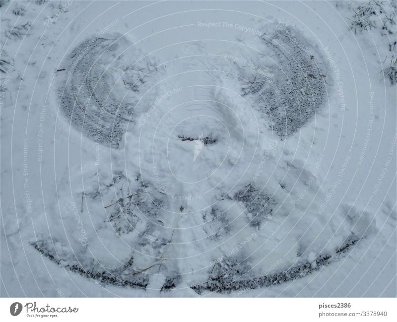 Photo of a snow angel on a path Winter Weihnachten & Advent Natur Ferien & Urlaub & Reisen tree road covered snowcapped landscape Deutschland Frost frozen