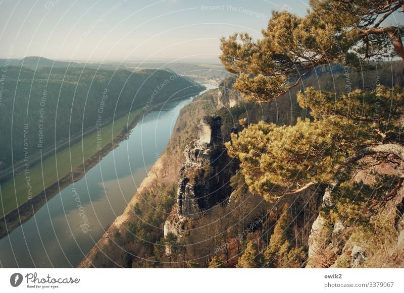 Fließend Umwelt Natur Landschaft Pflanze Wasser Wolkenloser Himmel Horizont Sommer Schönes Wetter Baum Elbsandsteingebirge Sächsische Schweiz Felsen Elbe