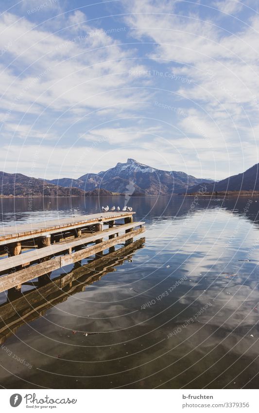 Möwen am Steg, Gebirge im Hintergrund See Möwenvögel holzsteg wasser alpen gebirge berge wolken spiegelung mondsee Österreich Salzkammergut Berge u. Gebirge