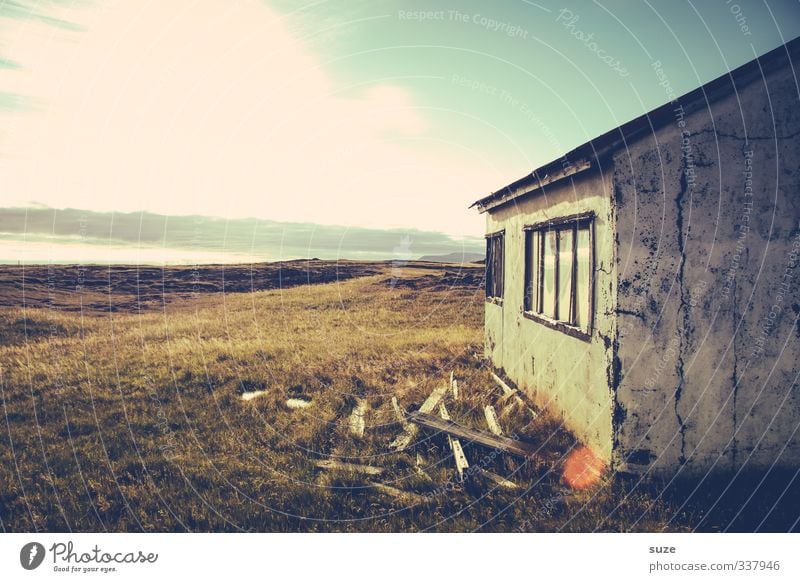 Vergänglich Sommer Haus Umwelt Natur Landschaft Himmel Wolken Horizont Schönes Wetter Gras Wiese Hütte Ruine Fassade Fenster Traurigkeit alt Tod Einsamkeit