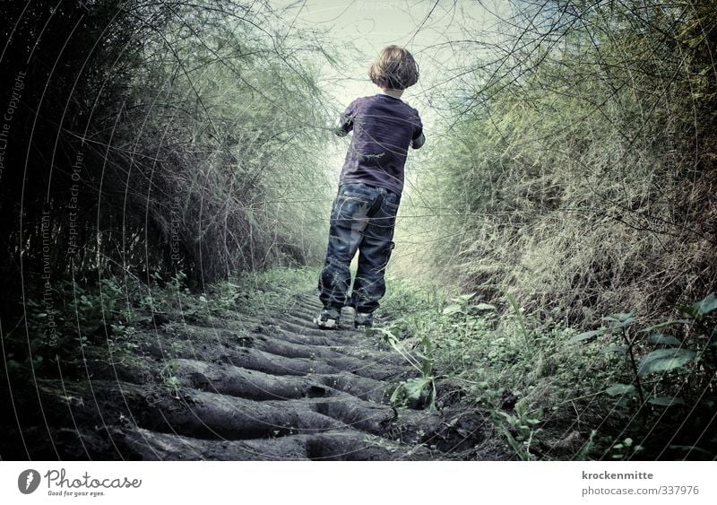 trau dich Mensch maskulin Kind Kleinkind Junge Kindheit 1 3-8 Jahre Natur Pflanze Sträucher Grünpflanze Feld gehen bedrohlich dunkel grün Gefühle Stimmung