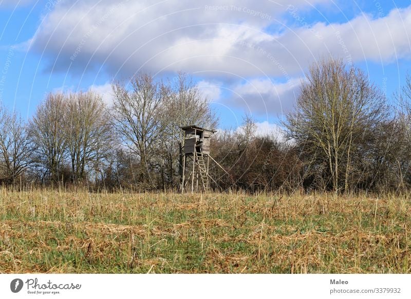 Holz Hirsche hoch Jagd Jäger Landschaft Aussicht Natur beobachten ländlich Sitz stehen Turm Wildnis Feld Außenaufnahme Hütte Eber oben Wolken Baum Deutschland