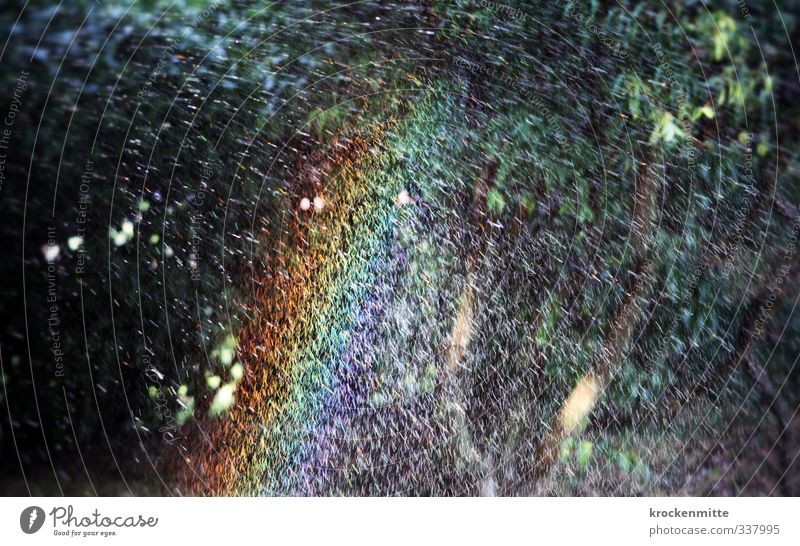 bunte Erfrischung Wasser Wassertropfen Sommer Schönes Wetter Baum Garten nass blau mehrfarbig gelb grün violett rot Wasserspiegelung Regenbogen regenbogenfarben