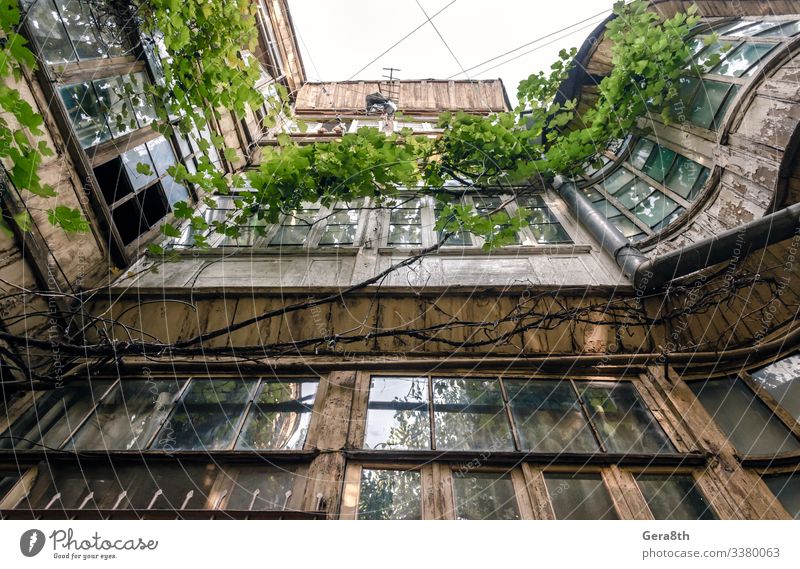 Ferien & Urlaub & Reisen Tourismus Ausflug Haus Seil Pflanze Blatt Stadt Gebäude Balkon Straße Linie alt authentisch retro grün Farbe Perspektive Kaukasus